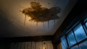 guma na podłogę w płynie